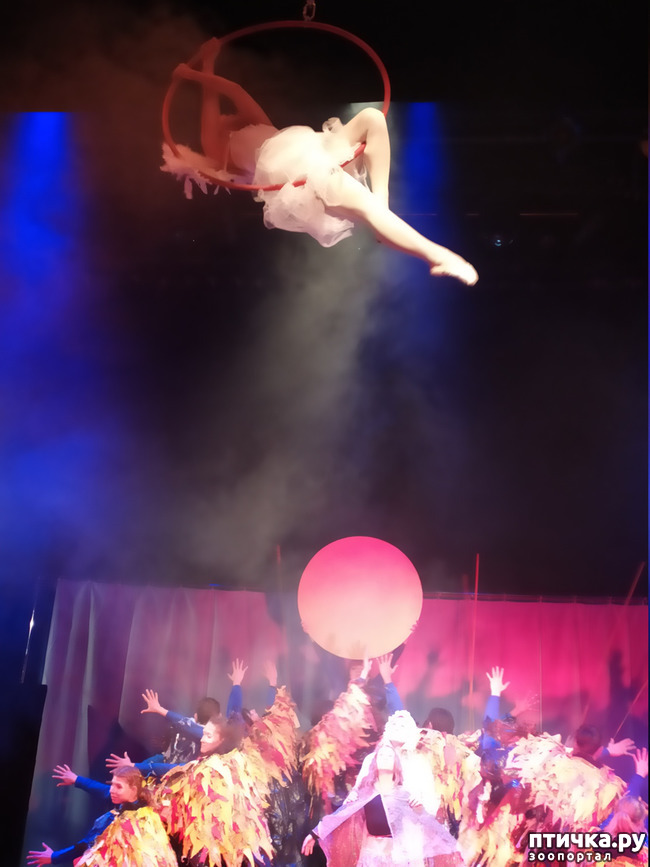 ���� 32: ����� � ������� � �����.