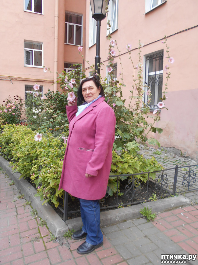 ���� 36: ����� � ������� � �����.