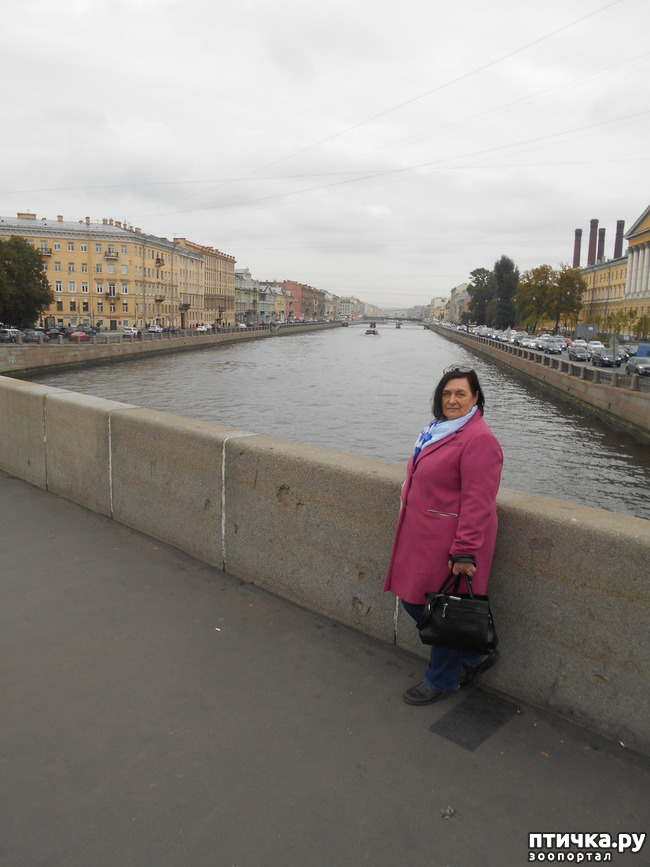 ���� 37: ����� � ������� � �����.