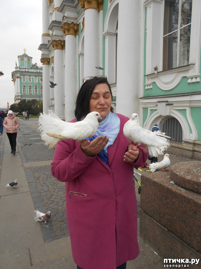 ���� 39: ����� � ������� � �����.