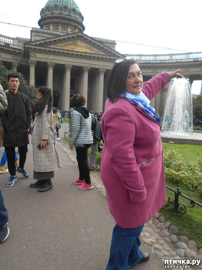 ���� 40: ����� � ������� � �����.