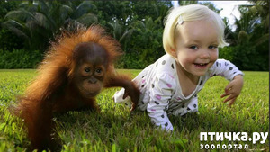 ����: �������� ���������� ��� ����������� �����