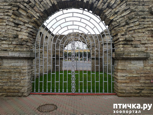 ����: ����� � ������� � �����.