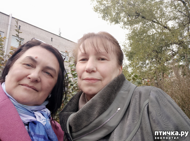 ���� 2: ����� � ������� � �����.