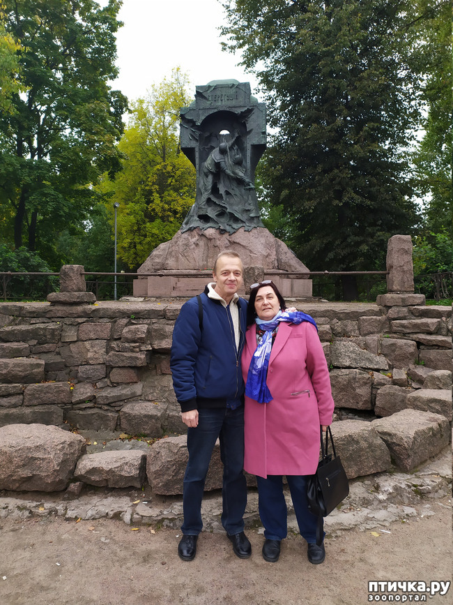 ���� 3: ����� � ������� � �����.