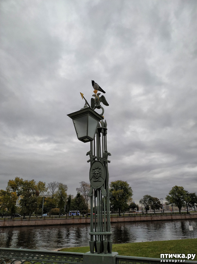 ���� 6: ����� � ������� � �����.