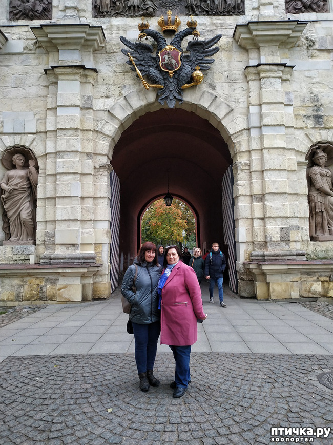 ���� 7: ����� � ������� � �����.