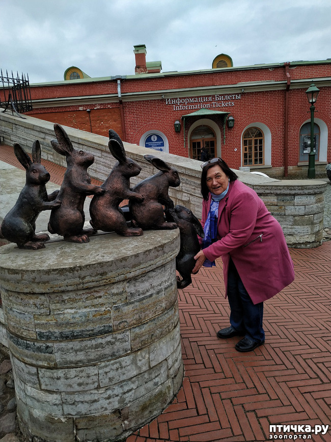 ���� 8: ����� � ������� � �����.