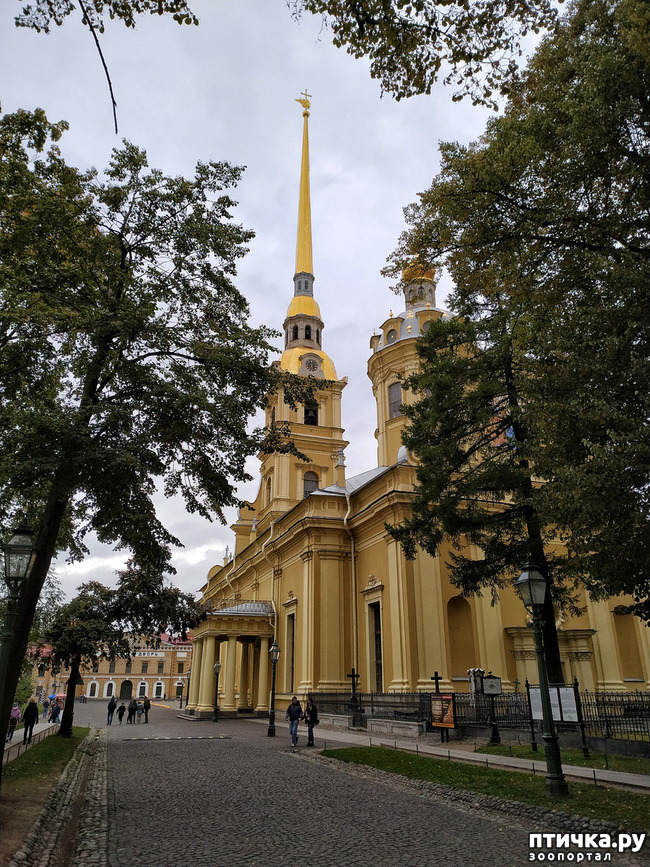 ���� 9: ����� � ������� � �����.