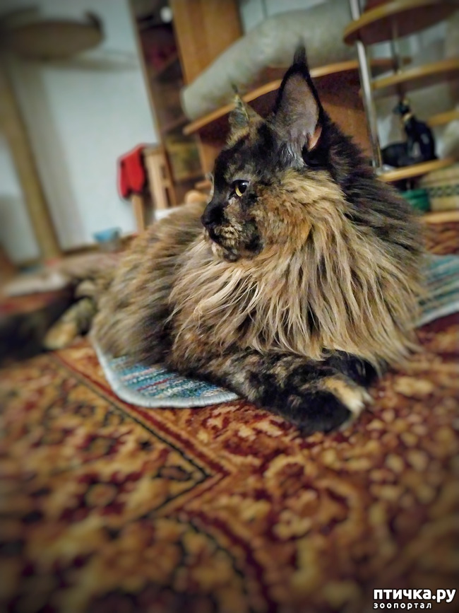 ���� 2: �������� ���������� ��� ����������� �����