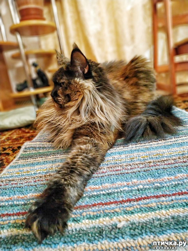 ���� 3: �������� ���������� ��� ����������� �����