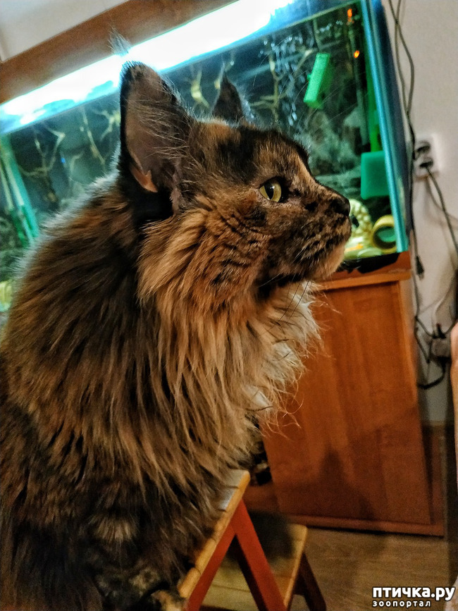 ���� 4: �������� ���������� ��� ����������� �����