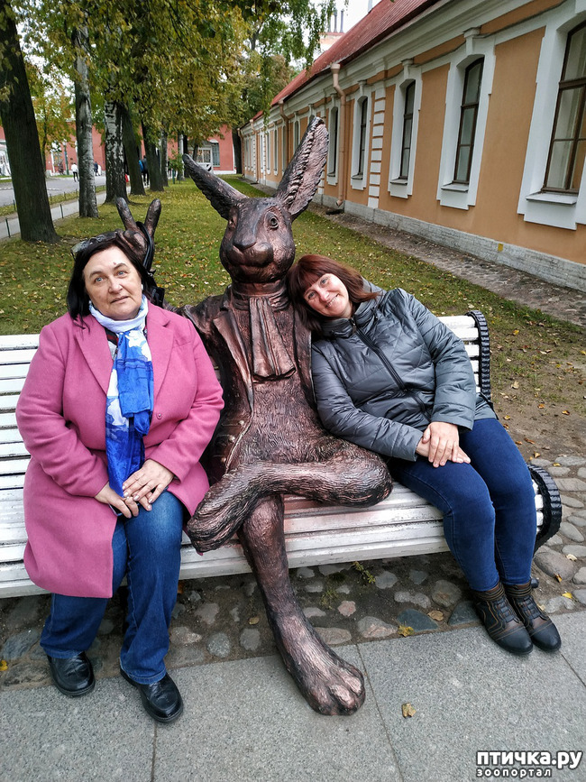 ���� 11: ����� � ������� � �����.