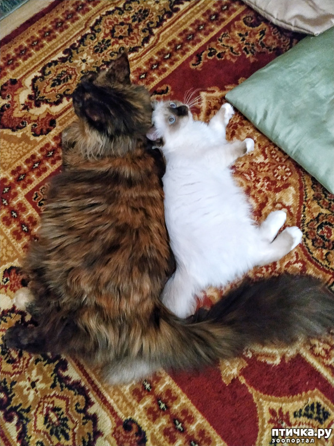 ���� 5: �������� ���������� ��� ����������� �����