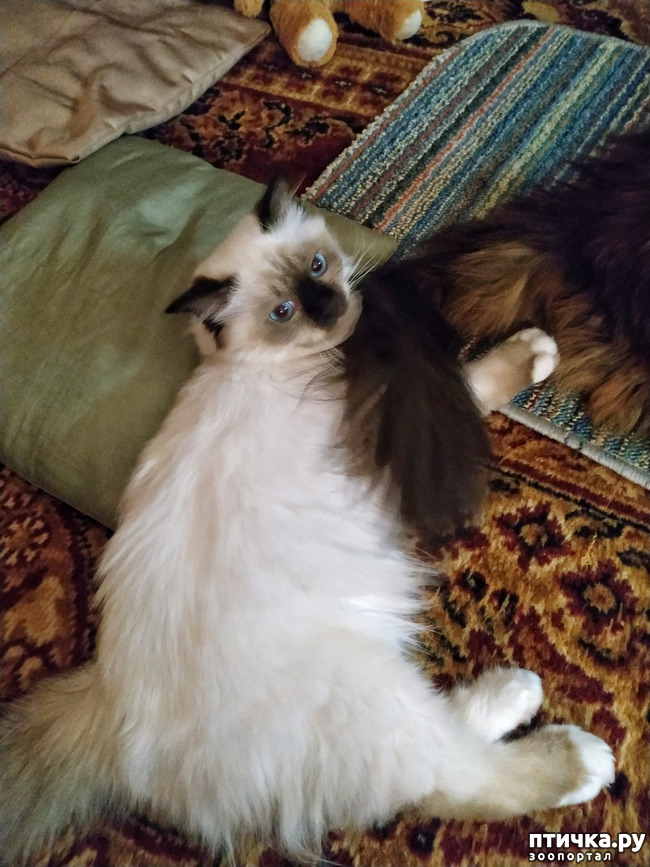 ���� 6: �������� ���������� ��� ����������� �����