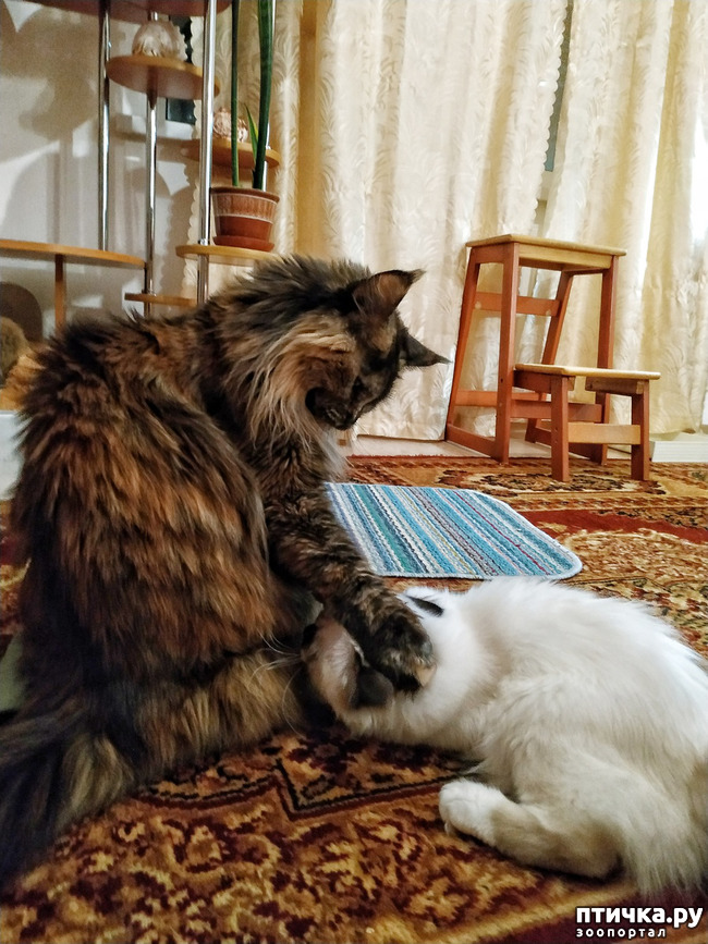 ���� 9: �������� ���������� ��� ����������� �����