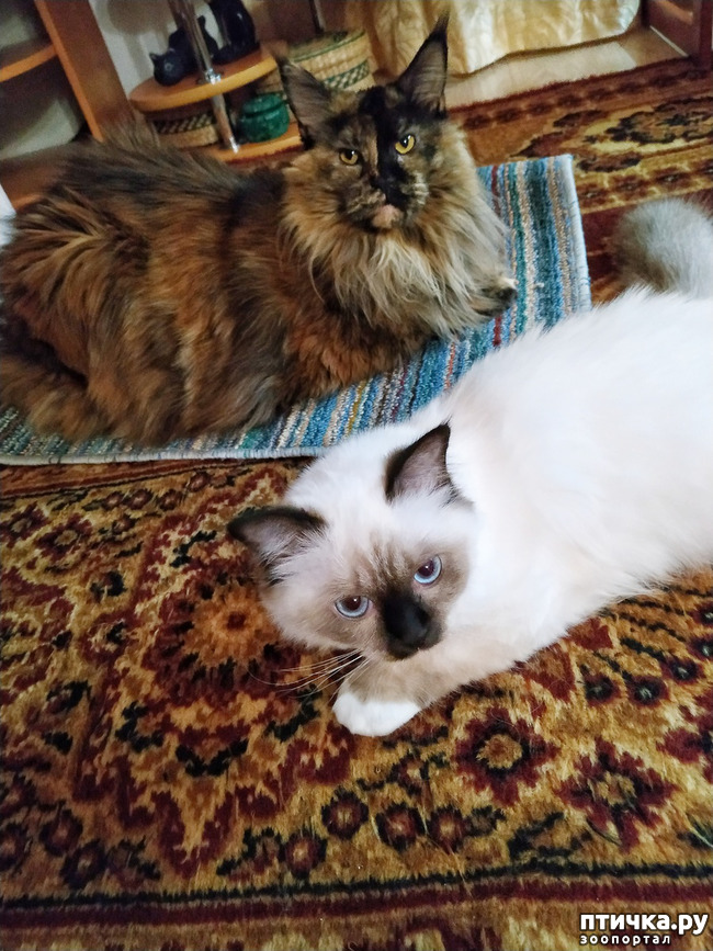 ���� 7: �������� ���������� ��� ����������� �����