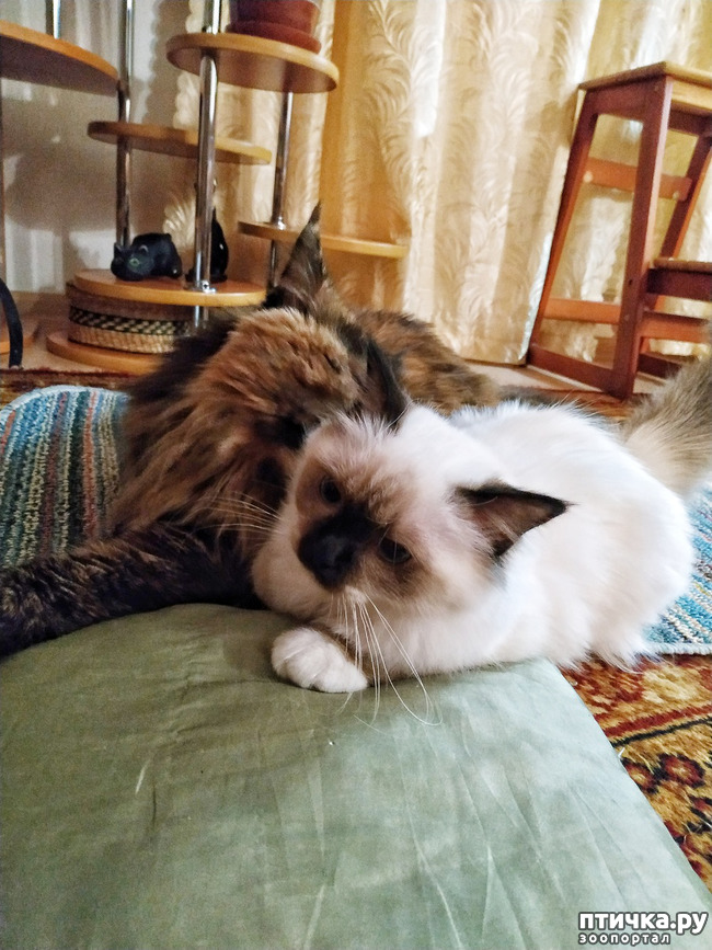 ���� 8: �������� ���������� ��� ����������� �����