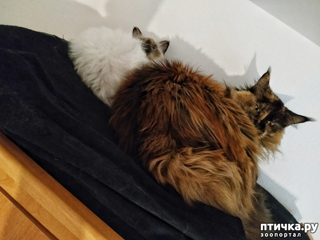 ���� 10: �������� ���������� ��� ����������� �����