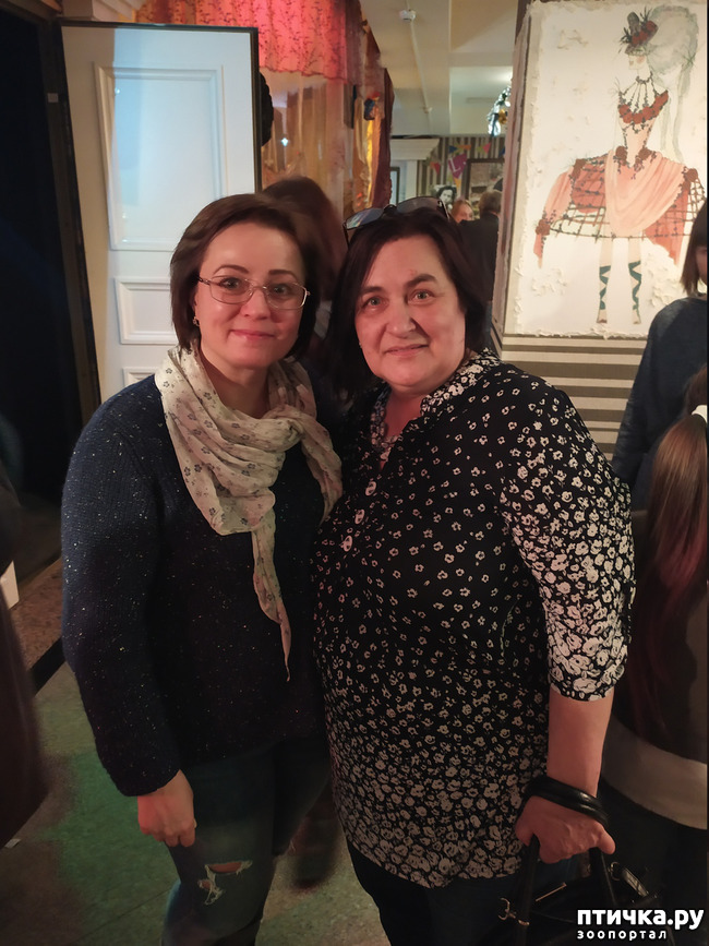 ���� 12: ����� � ������� � �����.