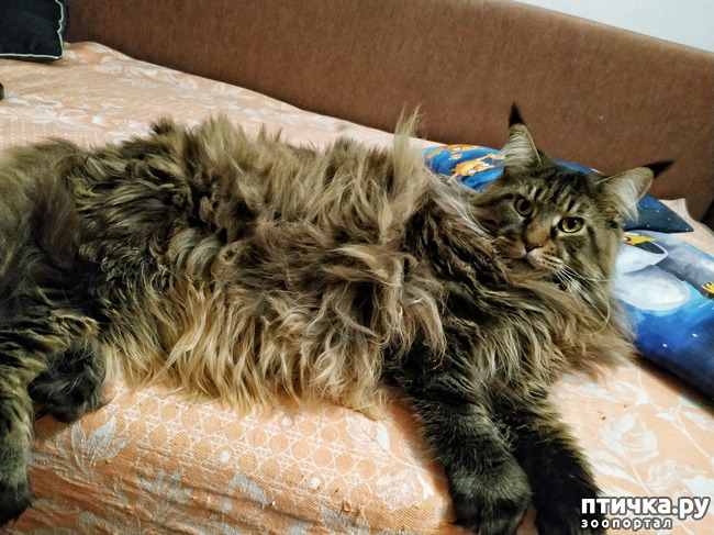 ���� 11: �������� ���������� ��� ����������� �����