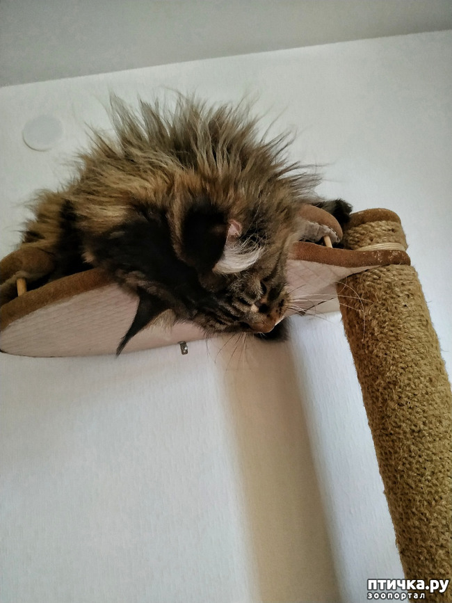 ���� 12: �������� ���������� ��� ����������� �����