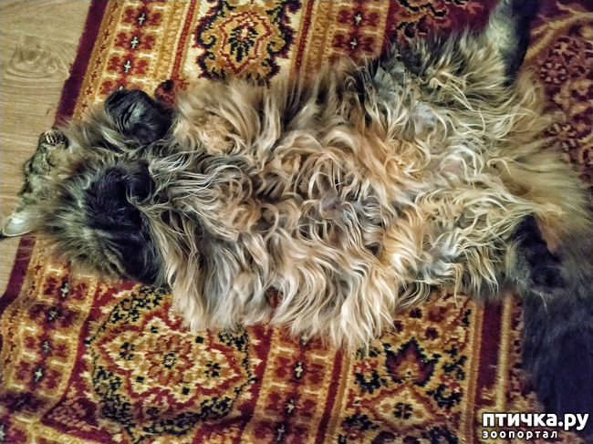 ���� 13: �������� ���������� ��� ����������� �����