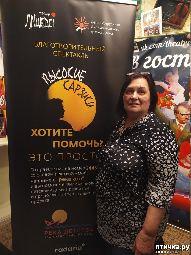 ���� 15: ����� � ������� � �����.