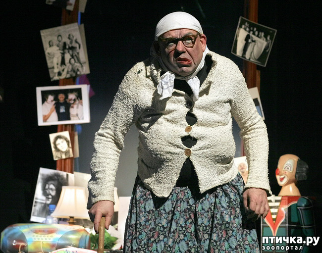 ���� 19: ����� � ������� � �����.