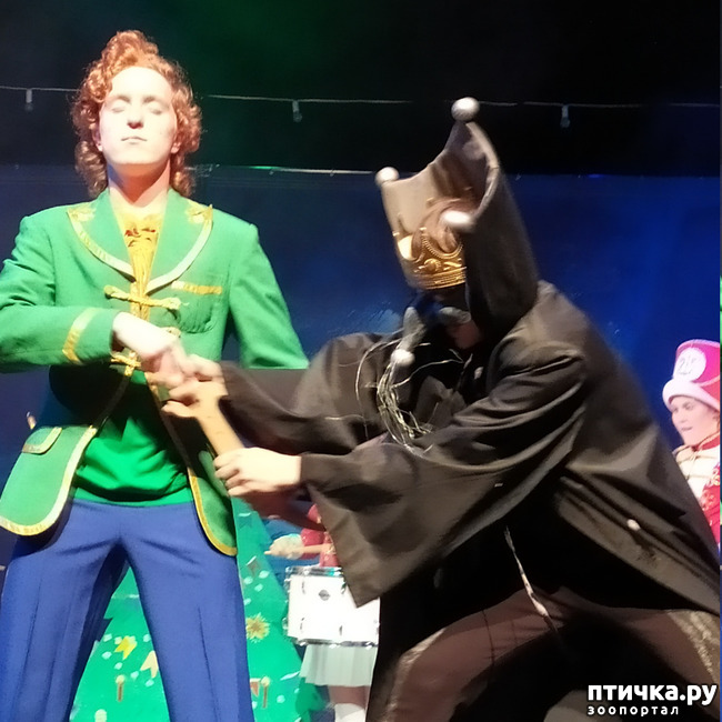 ���� 21: ����� � ������� � �����.