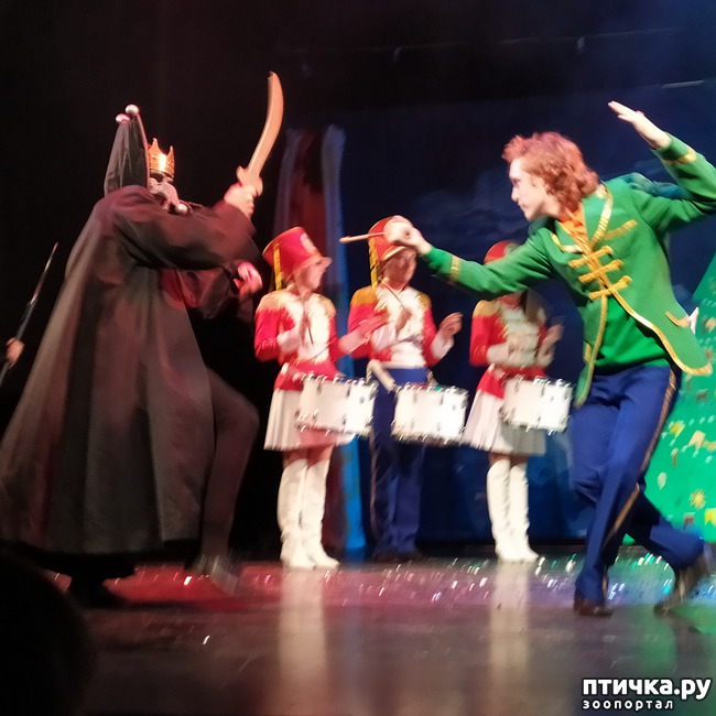 ���� 22: ����� � ������� � �����.