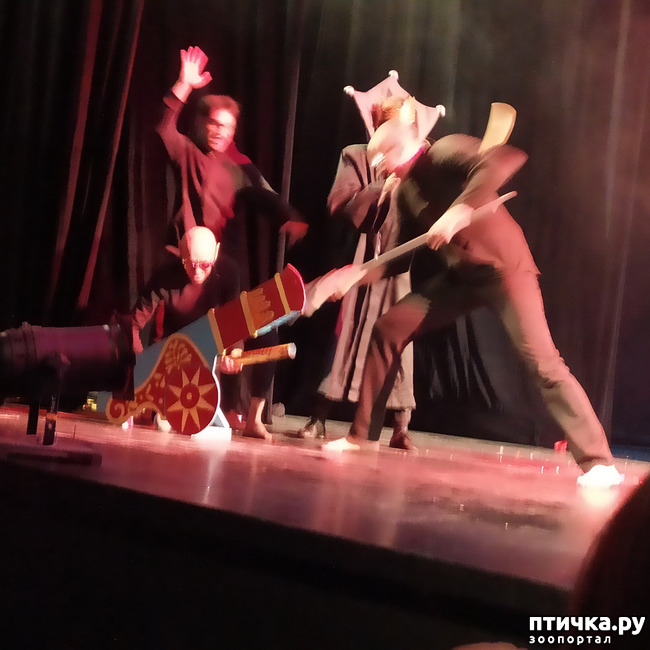 ���� 24: ����� � ������� � �����.