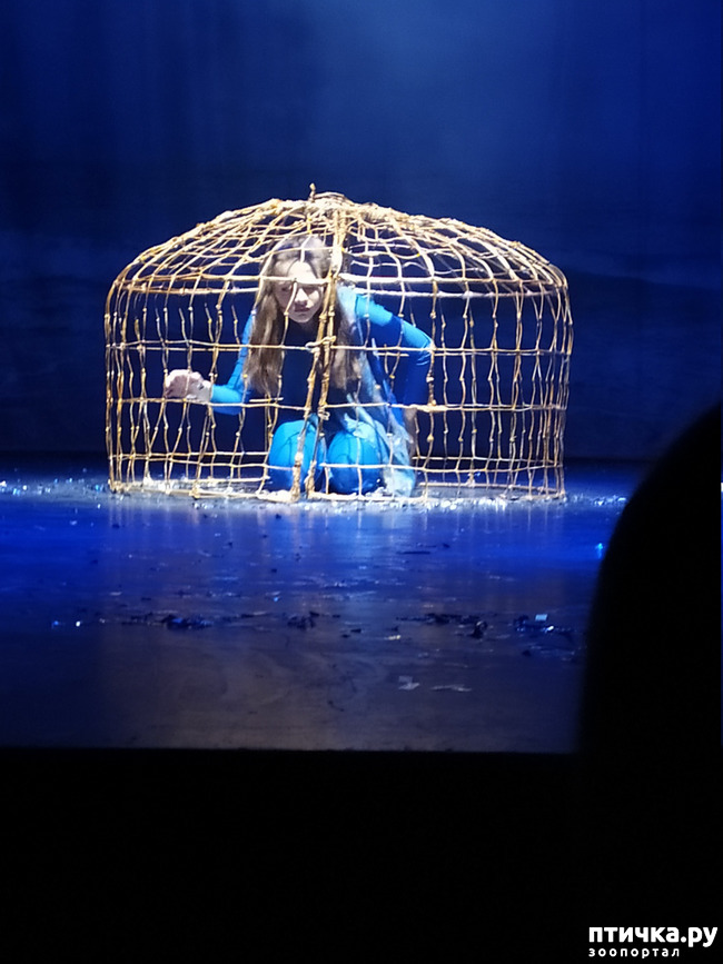 ���� 25: ����� � ������� � �����.