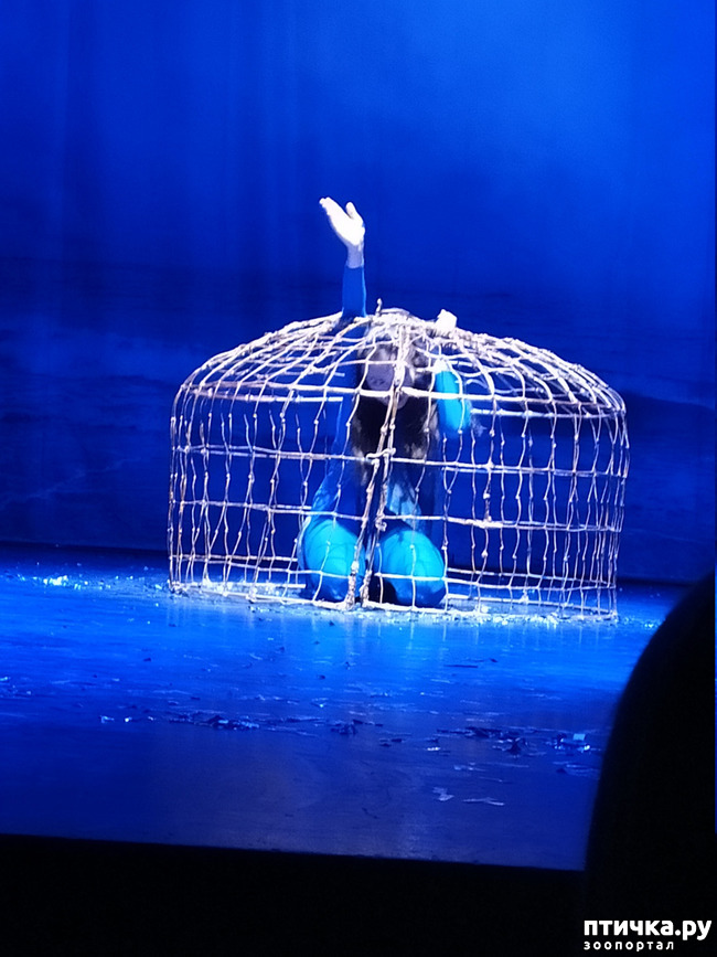 ���� 26: ����� � ������� � �����.