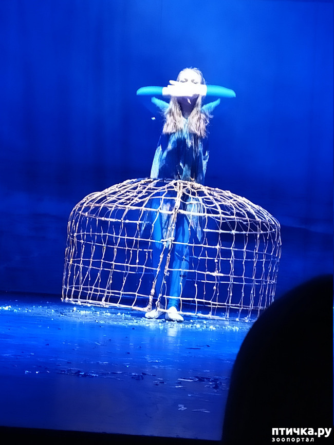 ���� 27: ����� � ������� � �����.