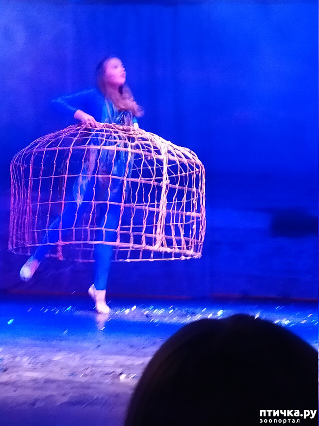 ���� 28: ����� � ������� � �����.