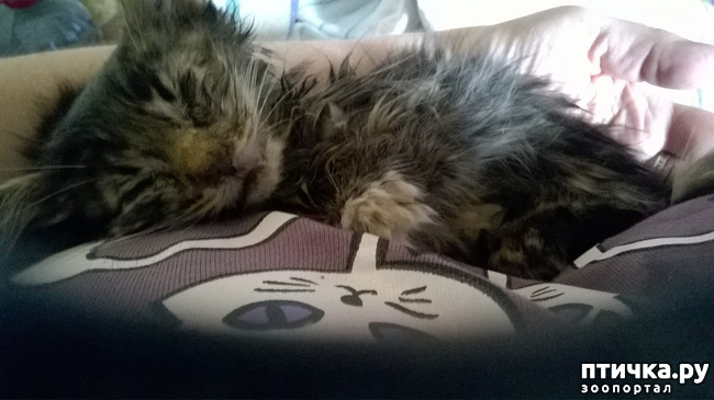 ���� 3: ���������! ��� � ��� ��������!