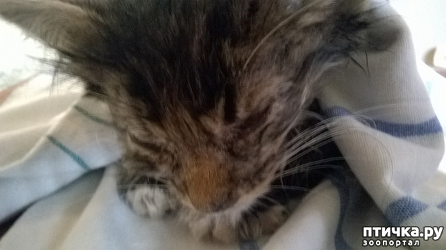 ���� 2: ���������! ��� � ��� ��������!