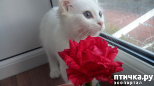 ����: ��� ��� �������?