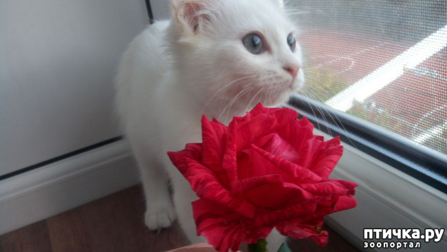 ���� 1: ��� ��� �������?