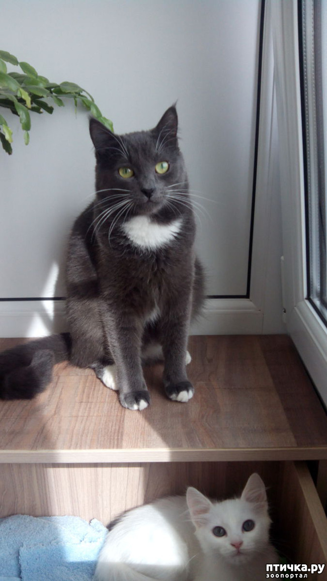 ���� 2: ��� ��� �������?