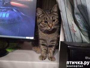 ����: �����. �����. ����.