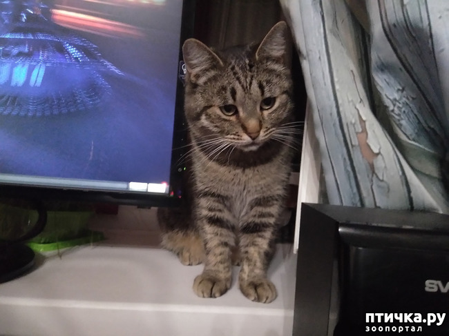 ���� 1: �����. �����. ����.