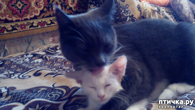 ���� 10: ��� ��� �������?