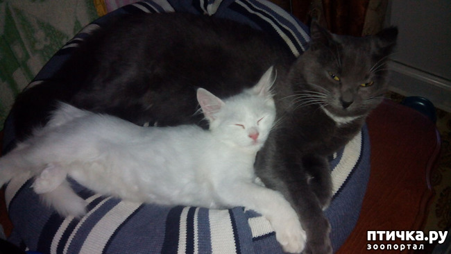 ���� 11: ��� ��� �������?