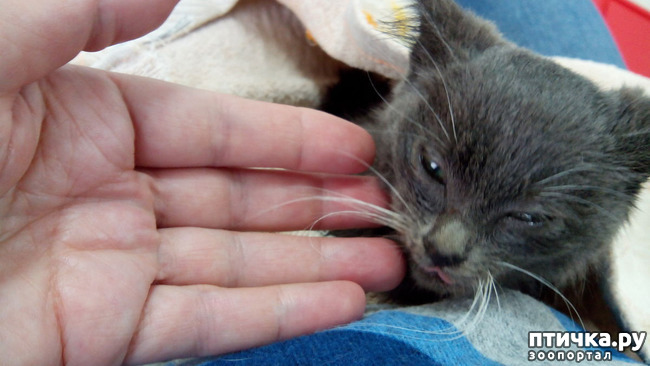 ���� 3: ��� ��� �������?