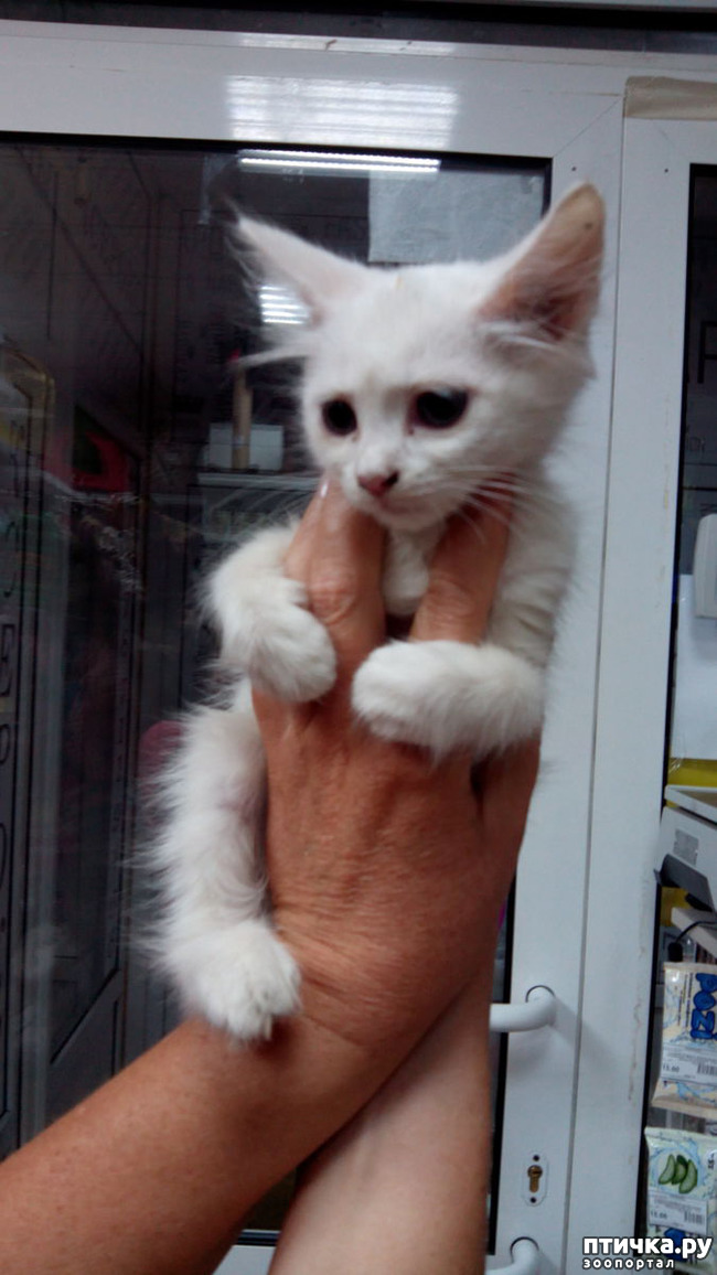 ���� 5: ��� ��� �������?