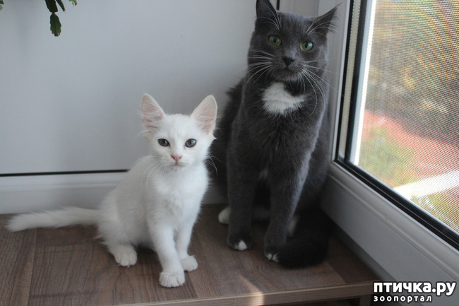 ���� 6: ��� ��� �������?