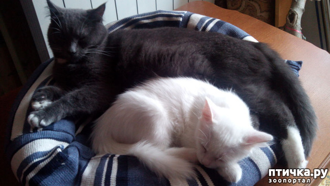 ���� 7: ��� ��� �������?