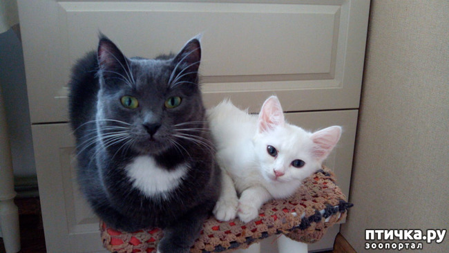 ���� 8: ��� ��� �������?